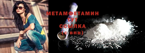 прущие грибы Новодвинск