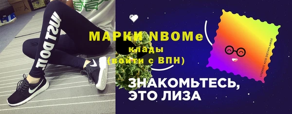 прущие грибы Новодвинск