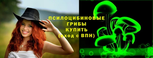 2c-b Новозыбков