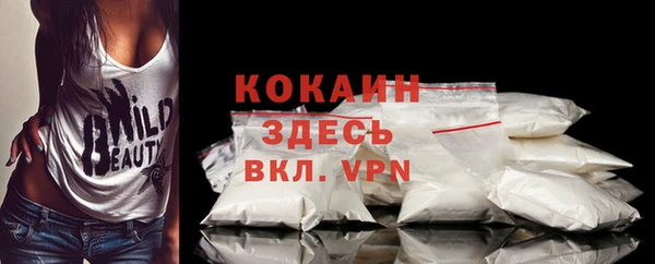 2c-b Новозыбков