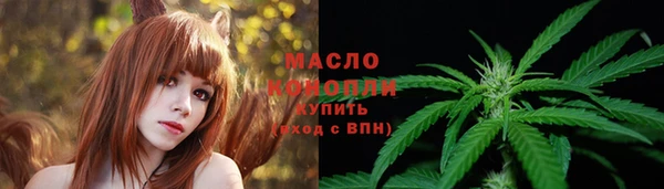 прущие грибы Новодвинск