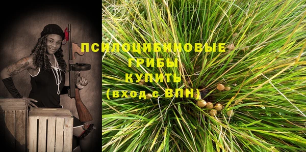прущие грибы Новодвинск