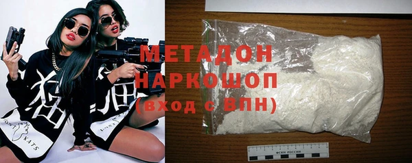 прущие грибы Новодвинск